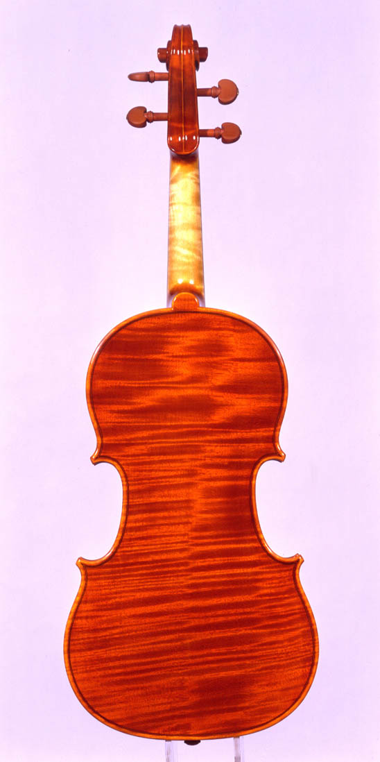  Back violin 2001