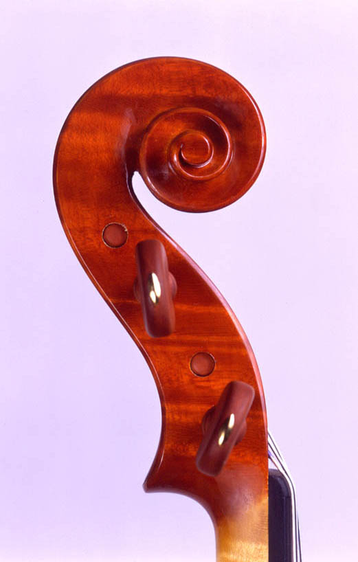 Head violin 2001