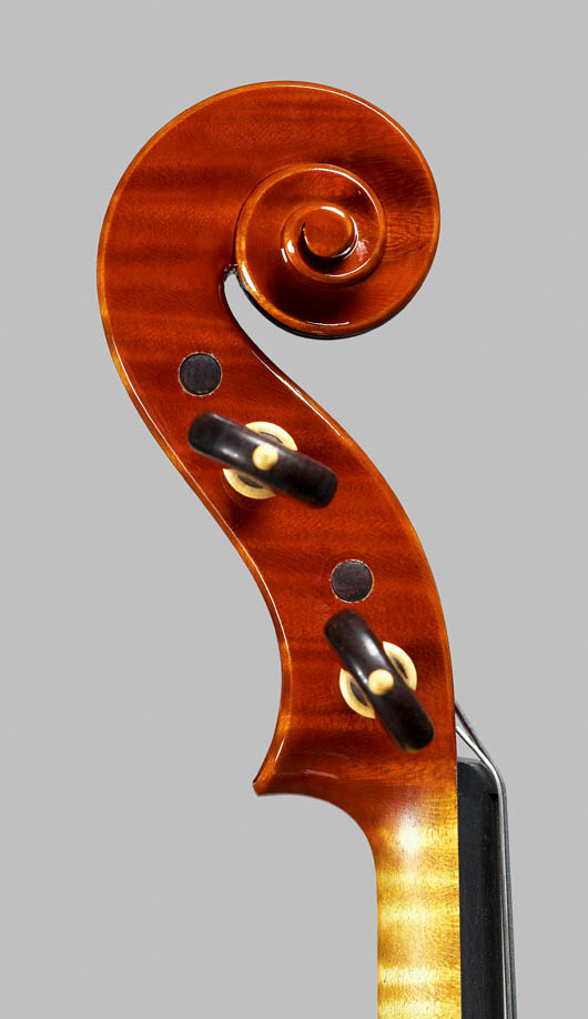 Head violin 2006
